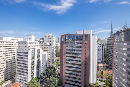 Sala - Varanda Vista de apartamento para alugar com 1 quarto, 46m² em Cerqueira César, São Paulo