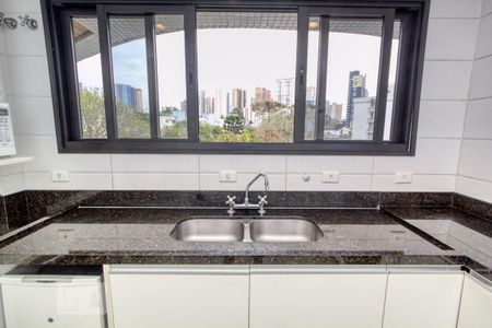 Apartamento à venda com 392m², 4 quartos e 5 vagasCozinha