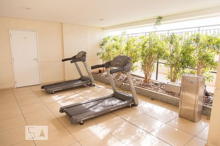 Apartamento à venda com 70m², 3 quartos e 1 vagaÁrea comum - Academia