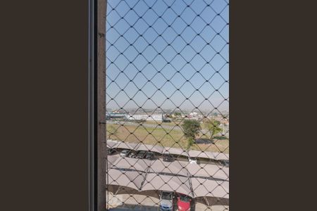 Vista da Suíte de apartamento para alugar com 2 quartos, 54m² em Jardim Márcia, Campinas