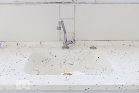 Pia da Cozinha de casa de condomínio para alugar com 1 quarto, 37m² em Vila Nova Mazzei, São Paulo