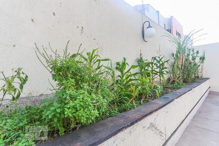 Apartamento para alugar com 40m², 1 quarto e sem vaga Apartamento para alugar com 40m², 1 quarto e sem vagaArea Comum Horta Comunitaria