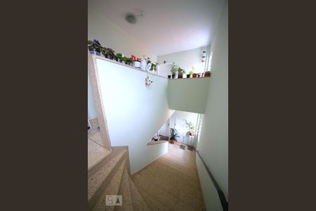 Apartamento para alugar com 80m², 3 quartos e sem vagaAcesso 