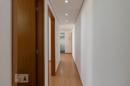 Corredor de apartamento para alugar com 2 quartos, 48m² em Jardim Íris, São Paulo