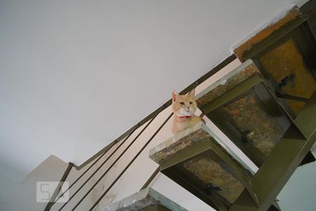 Apartamento à venda com 110m², 2 quartos e 1 vagaEscada Terraço