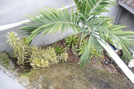 Casa à venda com 240m², 4 quartos e 1 vaga Casa à venda com 240m², 4 quartos e 1 vagaJardim