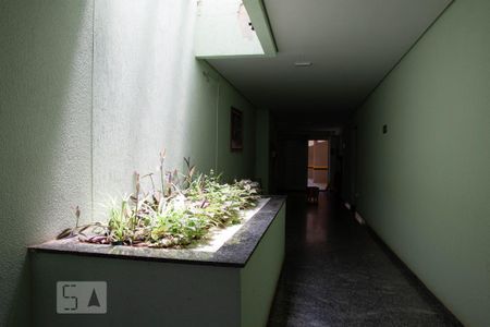 Kitnet/Studio para alugar com 1 quarto, 28m² em Novo Taquaral, Campinas