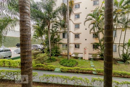 Apartamento para alugar com 63m², 3 quartos e 1 vagaVista da Sala