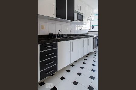 Apartamento à venda com 347m², 5 quartos e 5 vagasCozinha 