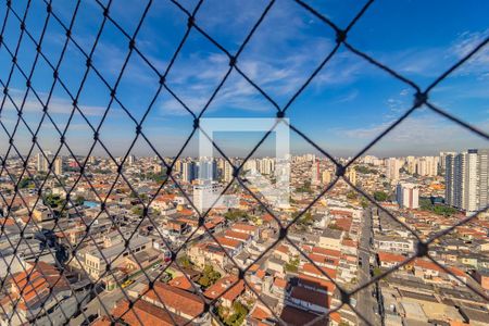 Apartamento para alugar com 2 quartos, 39m² em Vila Santa Catarina, São Paulo