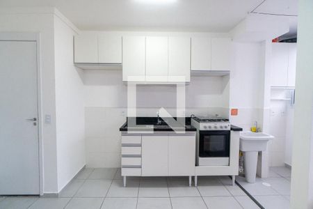 Cozinha de apartamento para alugar com 2 quartos, 39m² em Vila Santa Catarina, São Paulo