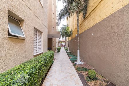 Apartamento à venda com 50m², 2 quartos e 1 vaga Apartamento à venda com 50m², 2 quartos e 1 vagaÁrea comum