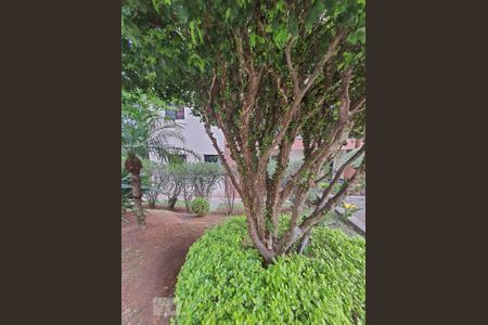 Apartamento para alugar com 64m², 3 quartos e 1 vagaPomar