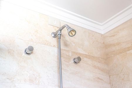 Apartamento à venda com 245m², 4 quartos e 4 vagasChuveiro