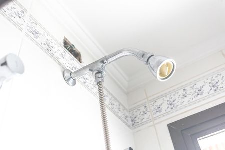 Apartamento à venda com 245m², 4 quartos e 4 vagasChuveiro