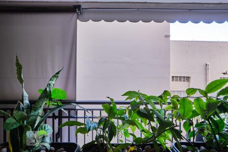 Apartamento para alugar com 73m², 2 quartos e 1 vaga Apartamento para alugar com 73m², 2 quartos e 1 vagaQuarto 2 Vista