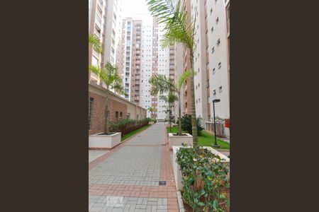 Apartamento para alugar com 58m², 2 quartos e 1 vaga Apartamento para alugar com 58m², 2 quartos e 1 vagaÁrea comum
