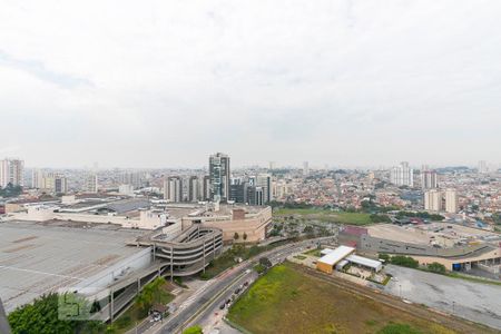 Apartamento à venda com 189m², 3 quartos e 4 vagasVista