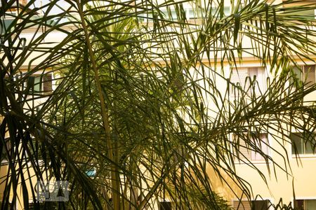 Apartamento para alugar com 120m², 2 quartos e 3 vagas Apartamento para alugar com 120m², 2 quartos e 3 vagasVista do Quarto
