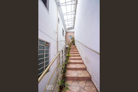 Casa para alugar com 245m², 8 quartos e 3 vagasEscada