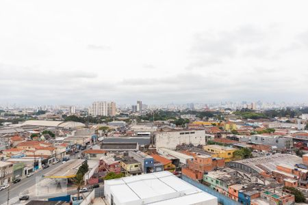 Vista de apartamento para alugar com 2 quartos, 55m² em Vila Guilherme, São Paulo