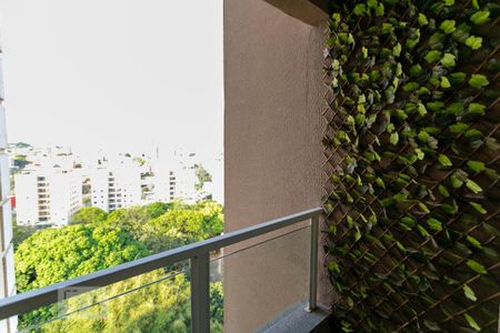 Varanda da Sala de apartamento para alugar com 2 quartos, 65m² em Castelo, Belo Horizonte