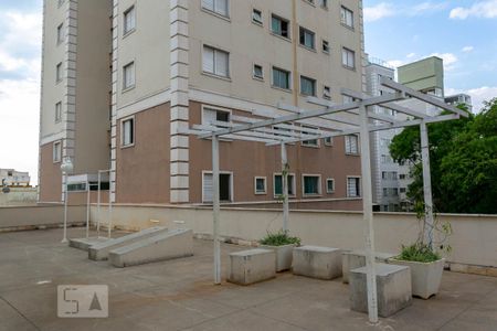 Área comum - Academia de apartamento para alugar com 2 quartos, 65m² em Castelo, Belo Horizonte