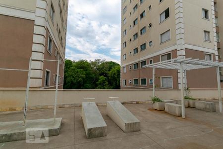 Área comum - Academia de apartamento para alugar com 2 quartos, 65m² em Castelo, Belo Horizonte