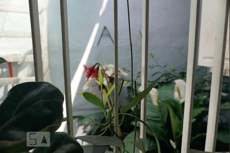 Vista da Sala de casa à venda com 3 quartos, 150m² em Cidade Patriarca, São Paulo