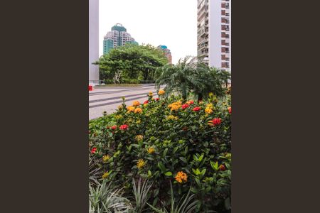 Apartamento para alugar com 100m², 2 quartos e 1 vaga Apartamento para alugar com 100m², 2 quartos e 1 vagaJardim