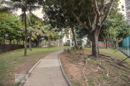 Apartamento para alugar com 100m², 2 quartos e 1 vaga Apartamento para alugar com 100m², 2 quartos e 1 vagaBosque
