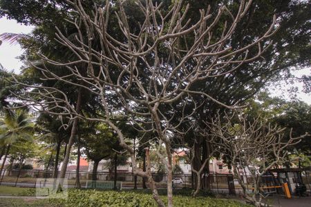 Apartamento para alugar com 100m², 2 quartos e 1 vaga Apartamento para alugar com 100m², 2 quartos e 1 vagaBosque