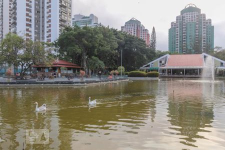 Apartamento para alugar com 100m², 2 quartos e 1 vaga Apartamento para alugar com 100m², 2 quartos e 1 vagaLago dos patos