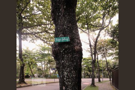 Apartamento para alugar com 100m², 2 quartos e 1 vaga Apartamento para alugar com 100m², 2 quartos e 1 vagaBosque