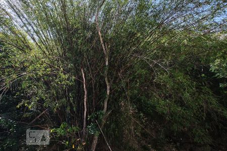 Quarto Suíte Vista de apartamento para alugar com 3 quartos, 99m² em Vila Isabel, Rio de Janeiro