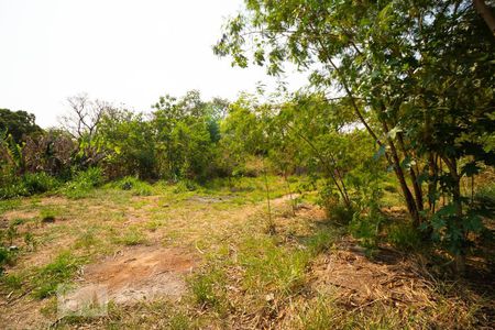 Casa à venda com 140m², 2 quartos e 20 vagasÁrea comum - Quintal