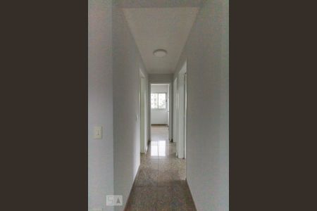 Corredor de apartamento para alugar com 3 quartos, 66m² em Vila Moinho Velho, São Paulo