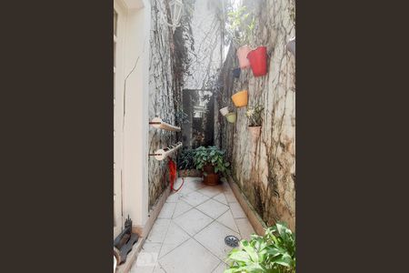 Casa para alugar com 240m², 3 quartos e 2 vagasQuintal