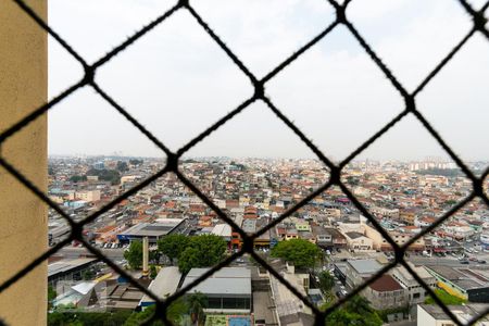 Vista da sala de apartamento para alugar com 2 quartos, 50m² em Parque Sao Luis, São Paulo