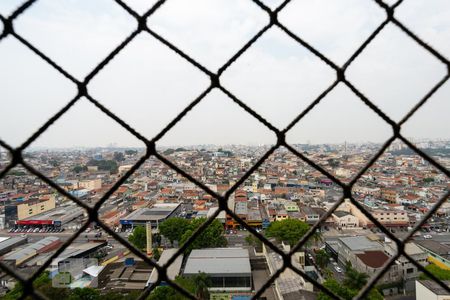 Vista do quarto 1 de apartamento para alugar com 2 quartos, 50m² em Parque Sao Luis, São Paulo