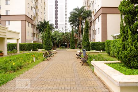 Apartamento à venda com 65m², 3 quartos e 1 vagaArea comum