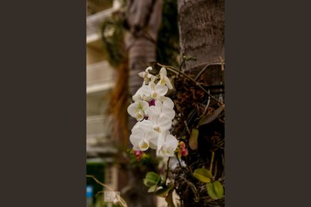 Apartamento à venda com 65m², 3 quartos e 1 vagaJardim