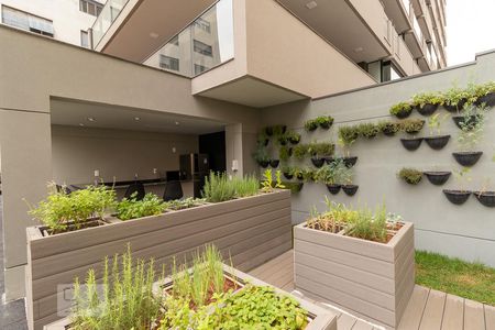 Studio para alugar com 34m², 1 quarto e sem vaga Studio para alugar com 34m², 1 quarto e sem vagaHorta comunitária