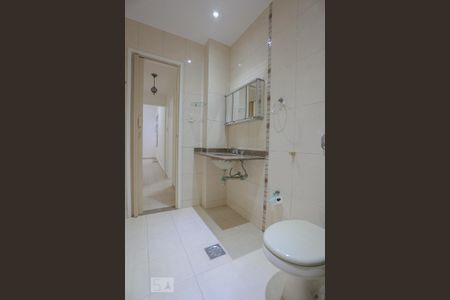 Banheiro Social de apartamento para alugar com 2 quartos, 70m² em Tijuca, Rio de Janeiro