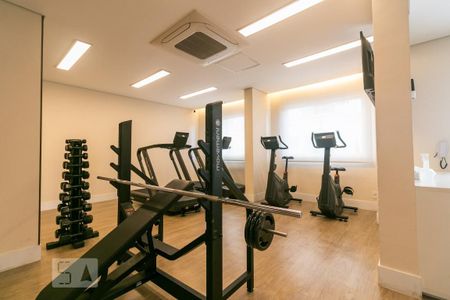 Apartamento para alugar com 36m², 1 quarto e 1 vagaÁrea comum - Academia