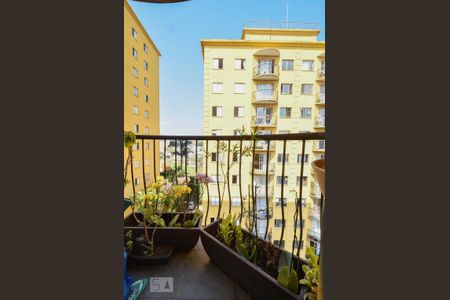 Varanda de apartamento para alugar com 3 quartos, 57m² em Vila das Belezas, São Paulo