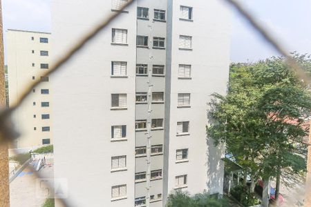 Quarto 1 Vista de apartamento para alugar com 2 quartos, 65m² em Butantã, São Paulo