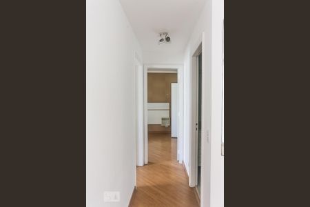 Corredor de apartamento para alugar com 2 quartos, 65m² em Butantã, São Paulo