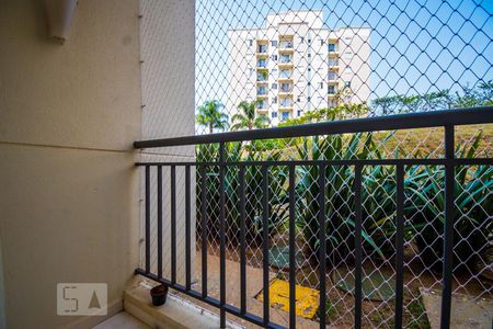 Varanda da Sala de apartamento para alugar com 2 quartos, 49m² em Jardim Myrian Moreira da Costa, Campinas