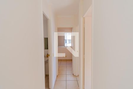Corredor de apartamento para alugar com 3 quartos, 65m² em Jardim Dom Vieira, Campinas